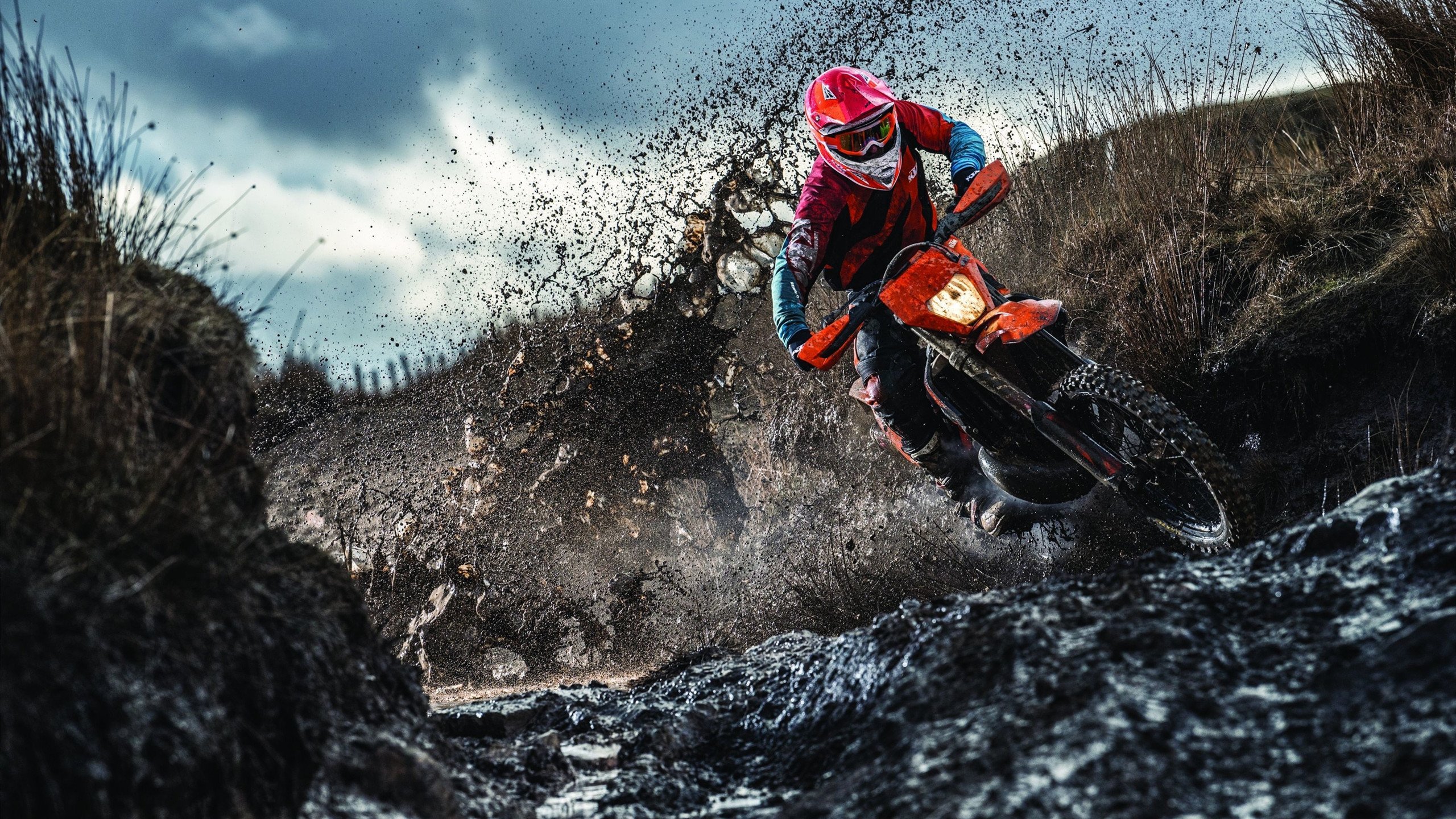 未来足球:场馆配备智能空气净化与节能系统,绿色科技引领行业